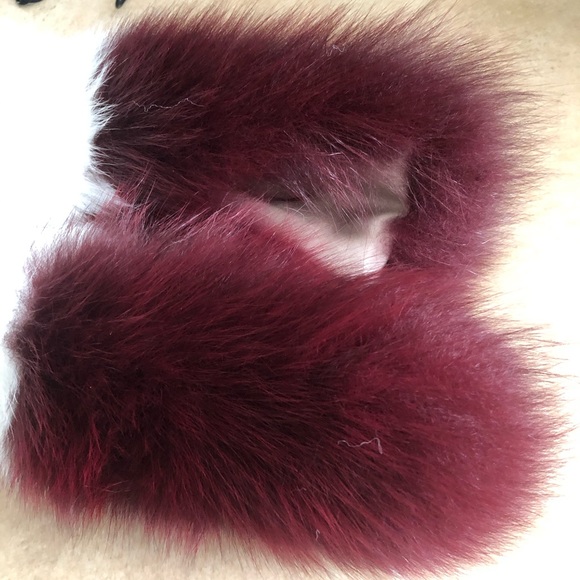 FOX - Picture 12 of 16